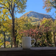 Chimney View