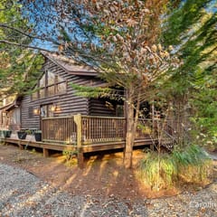 Fiona's Forest Haven