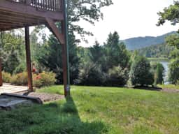 Honey Bee Hill - Image 3