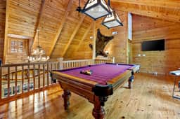 Big Cat Mountain House - Image 3