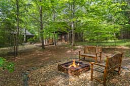 Fiona's Forest Haven - Image 4