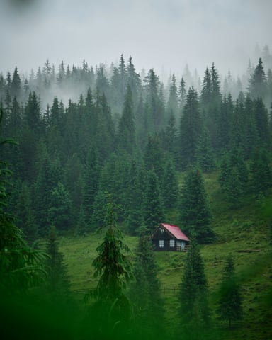 Small red-roofed cabin tucked into a misty pine forest on a green mountain slope