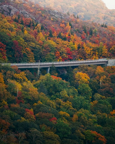 Linn Cove Viaduct winding through full autumn color on the Blue Ridge Mountains in North Carolina