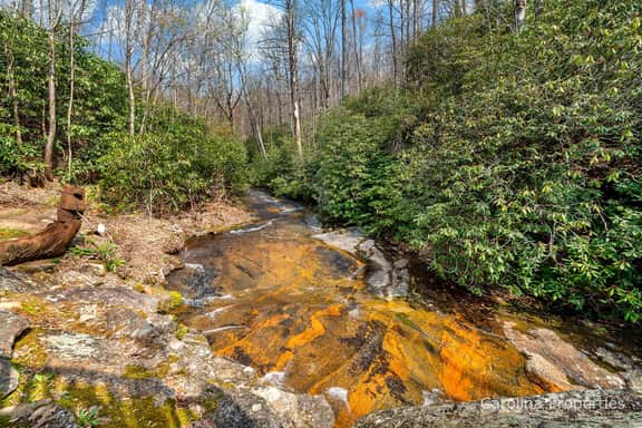 Hidden Falls Cabin - Image 3