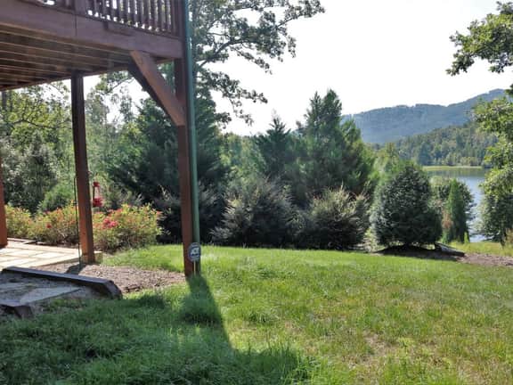 Honey Bee Hill - Image 3