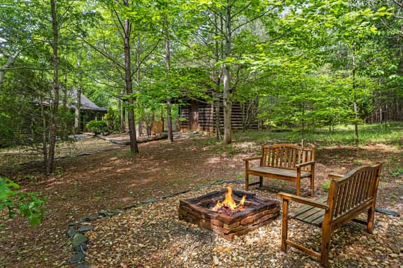 Fiona's Forest Haven - Image 4