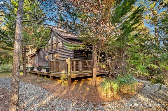 Fiona's Forest Haven - Image 1