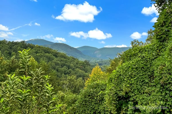Mountain valley view framed by lush green vegetation and flowering trees under blue sky with white clouds