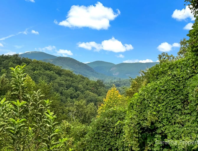 Mountain valley view framed by lush green vegetation and flowering trees under blue sky with white clouds